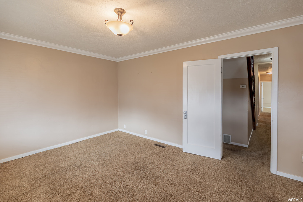 Carpeted spare room with crown molding and a textured ceiling