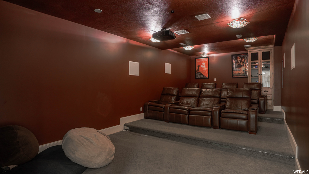 Home theater with dark carpet
