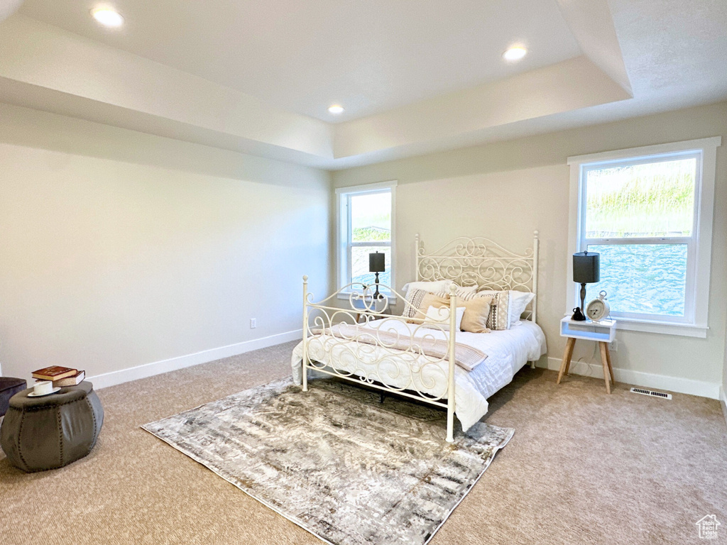 Bedroom with carpet flooring, multiple windows, and a tray ceiling