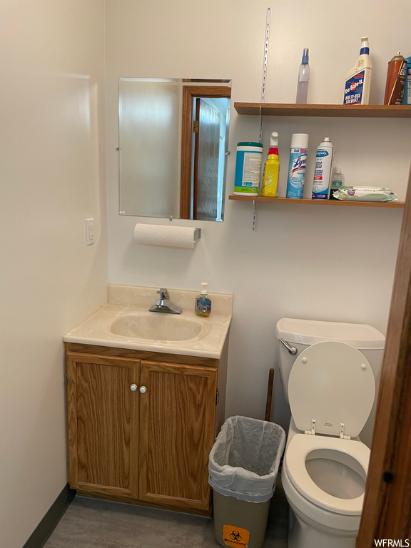 Bathroom featuring vanity, wood-type flooring, and mirror