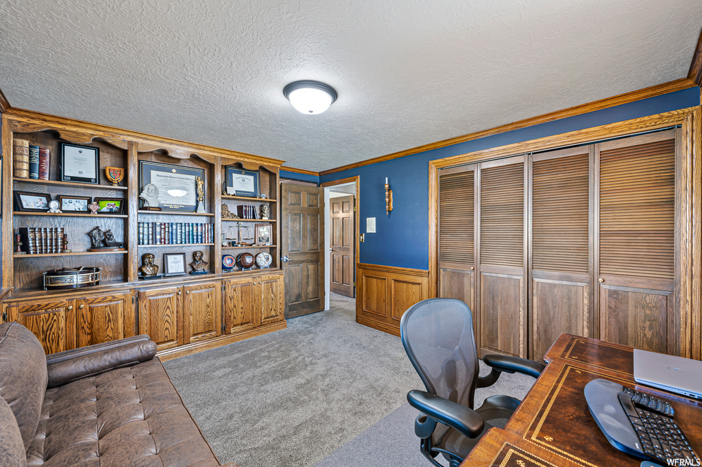 Carpeted office space with crown molding and a textured ceiling