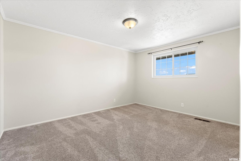 Carpeted empty room featuring crown molding and a textured ceiling