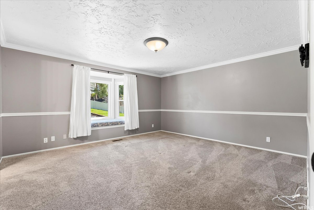 Empty room with crown molding, a textured ceiling, and light carpet