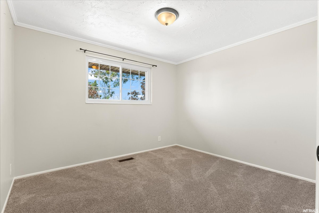 Spare room with light carpet and ornamental molding