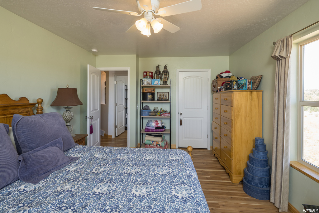 Bedroom featuring ceiling fan, multiple windows, and light hardwood flooring