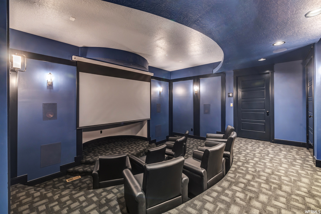 Cinema featuring carpet floors and a textured ceiling