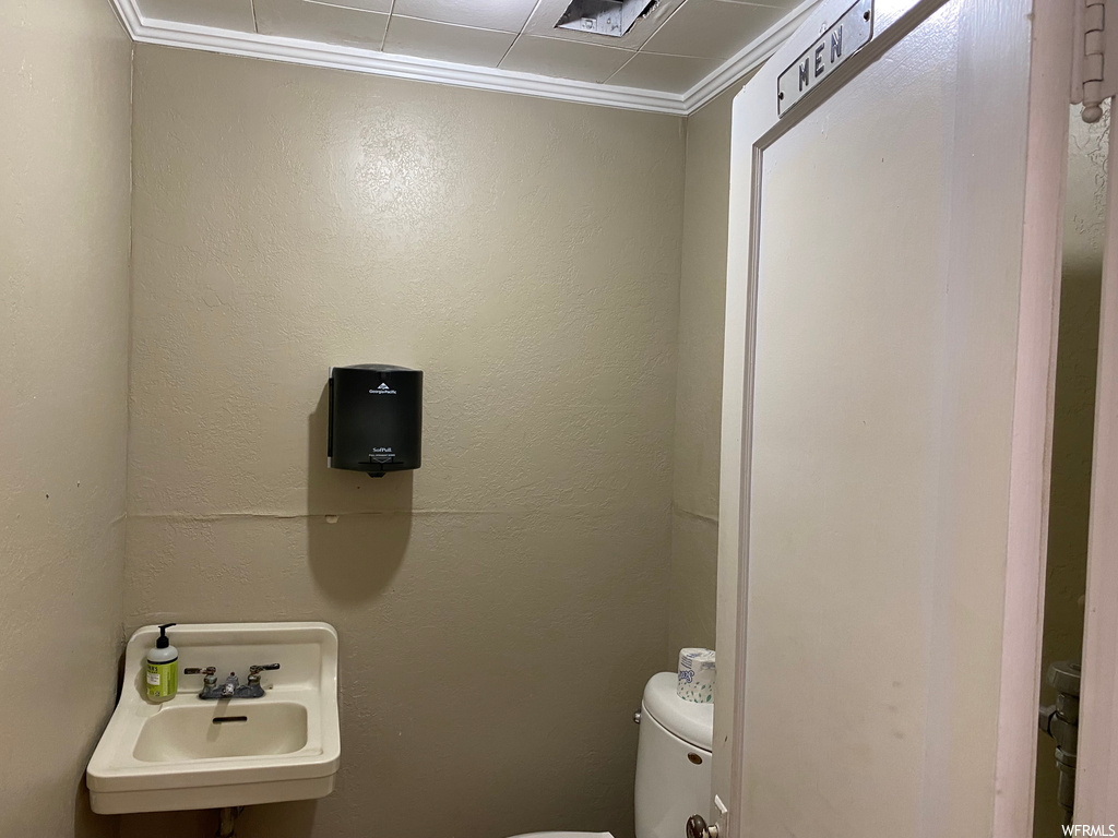 Bathroom with crown molding and washbasin