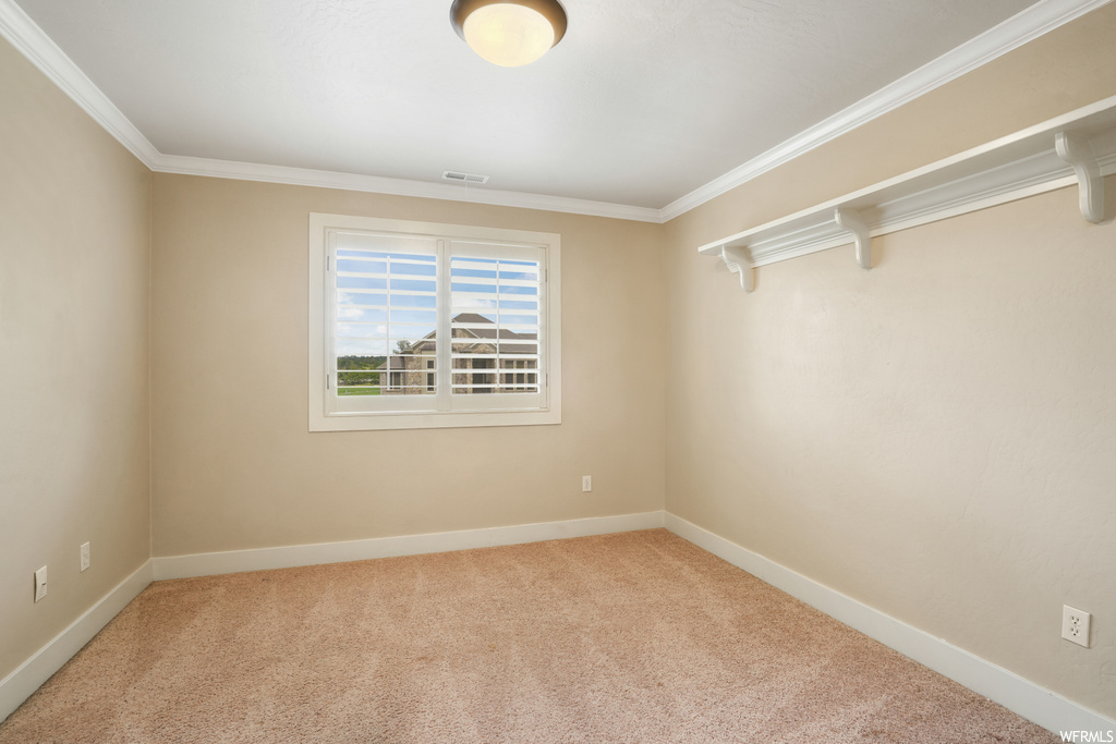 Spare room featuring crown molding and light carpet