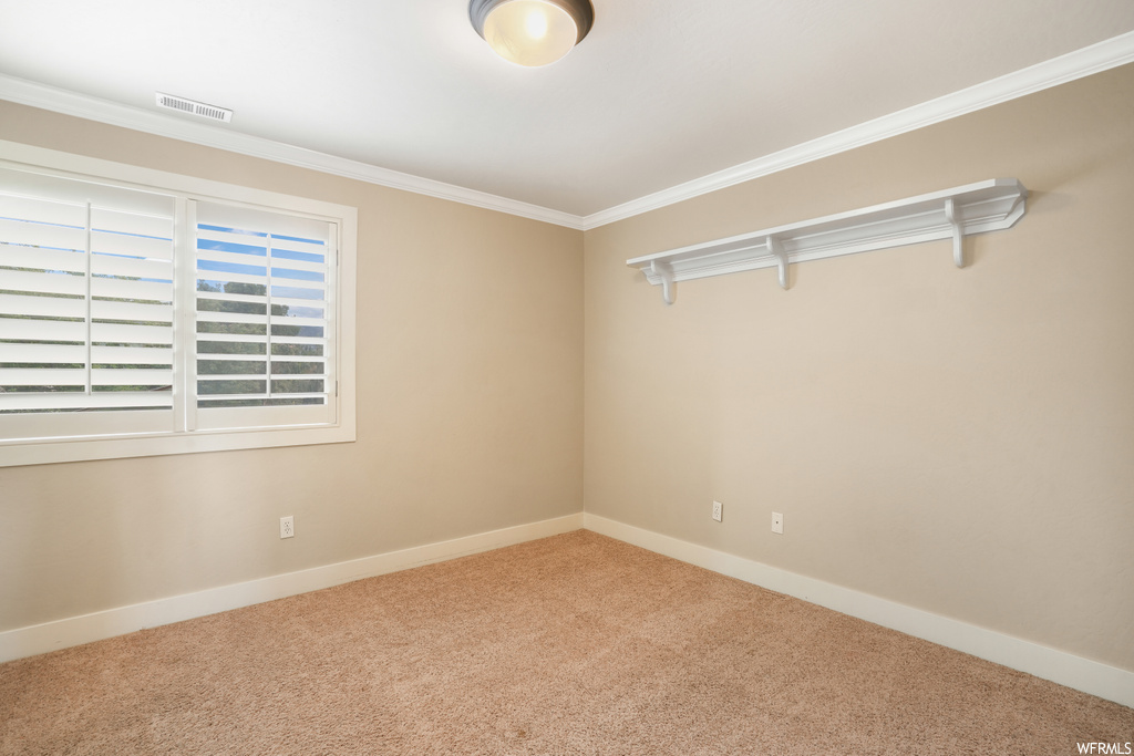 Spare room featuring light carpet and crown molding