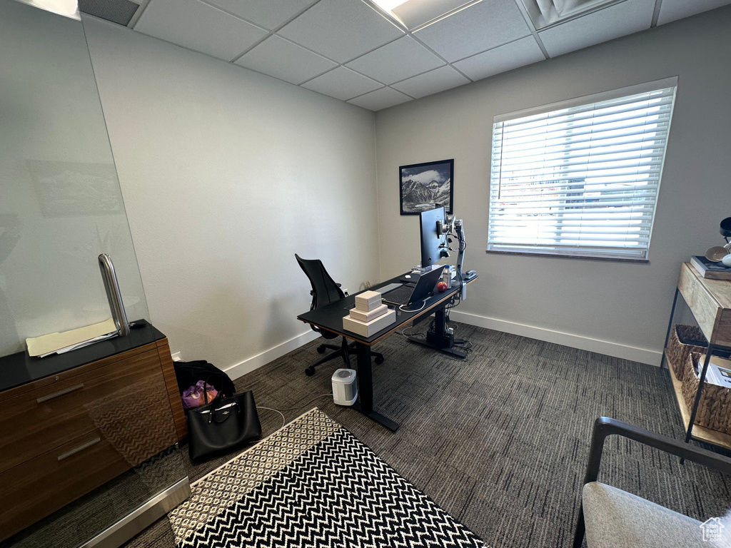 Exercise room featuring a drop ceiling and carpet