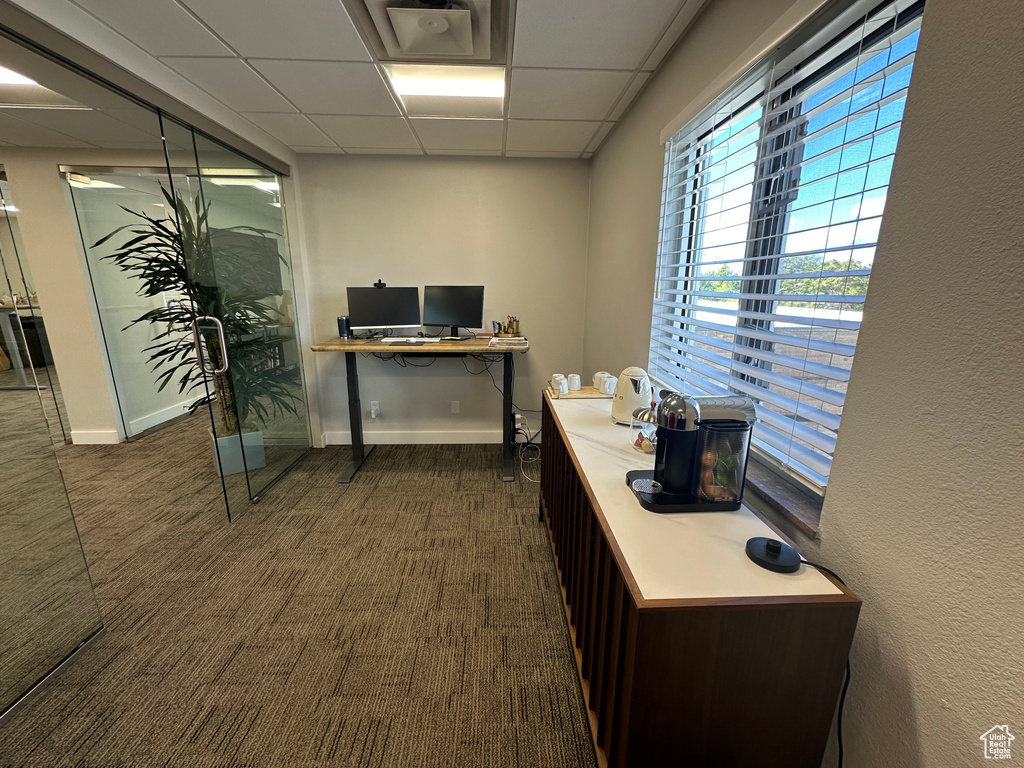 Carpeted office space with a paneled ceiling