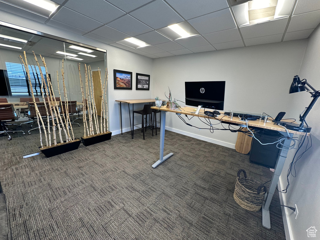 Interior space with a drop ceiling and dark carpet