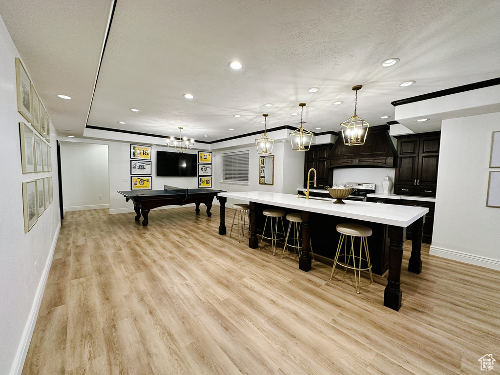Kitchen with light hardwood / wood-style floors, premium range hood, a kitchen breakfast bar, and billiards