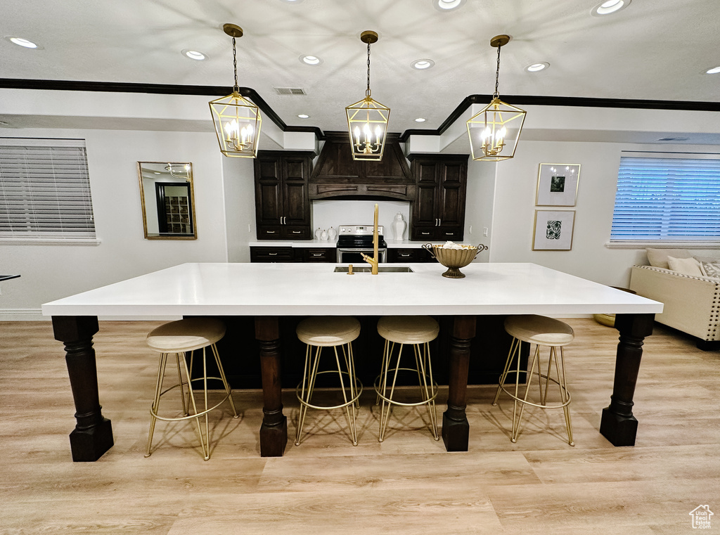 Kitchen with light hardwood / wood-style floors, custom range hood, and a kitchen island with sink