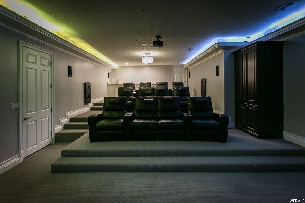 Carpeted cinema featuring ornamental molding