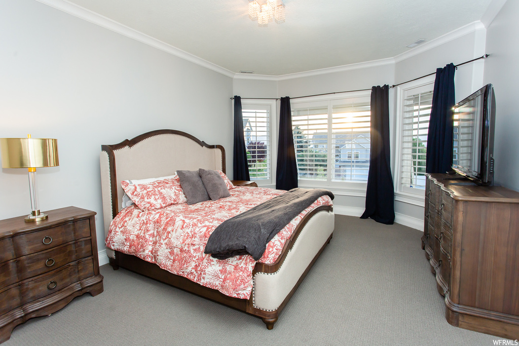 Carpeted bedroom with ornamental molding and multiple windows