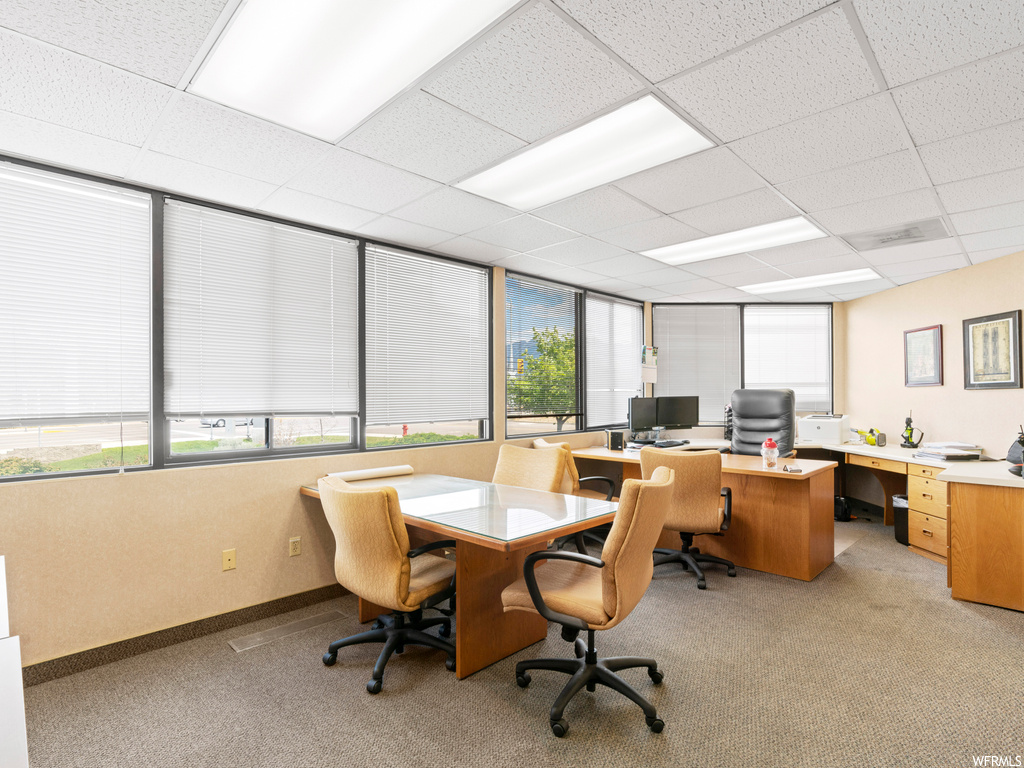 Carpeted office space with a drop ceiling and plenty of natural light