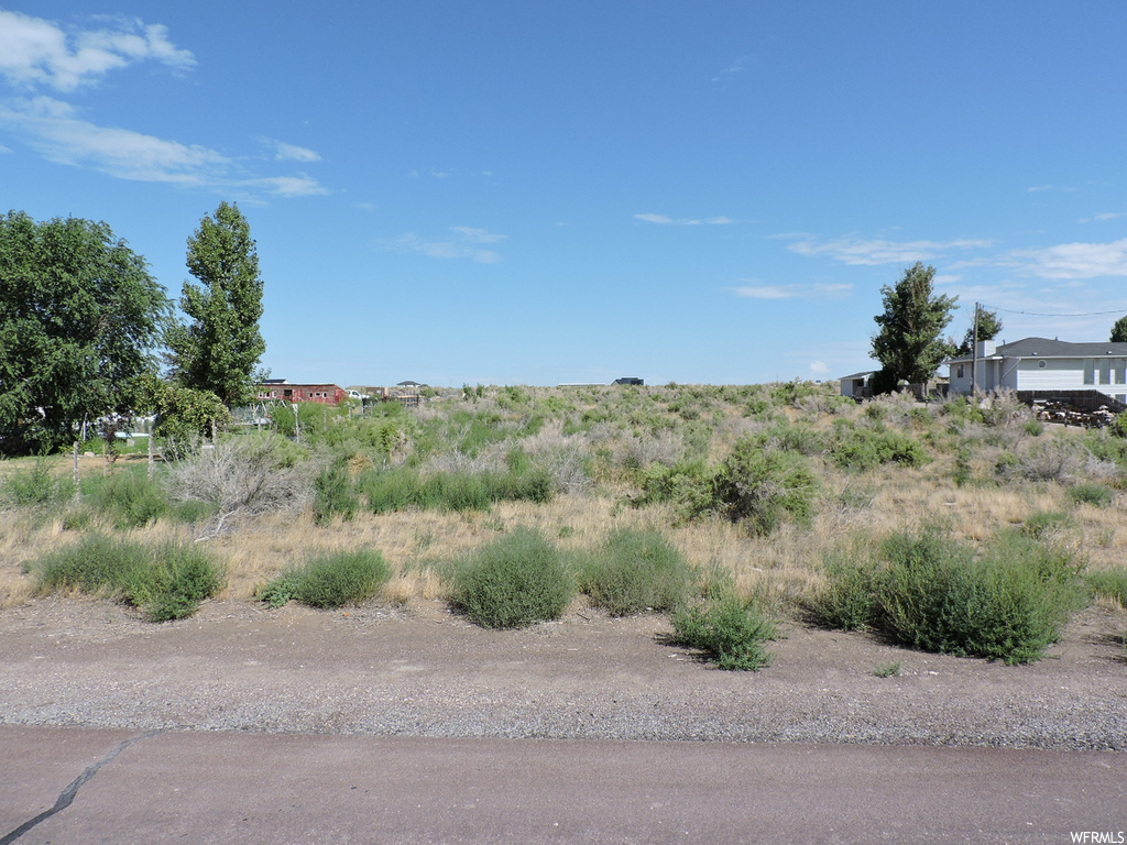 View of local wilderness