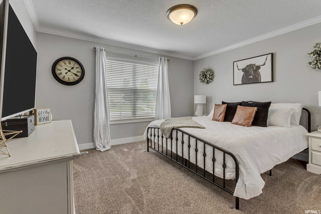 Carpeted bedroom with crown molding and a textured ceiling