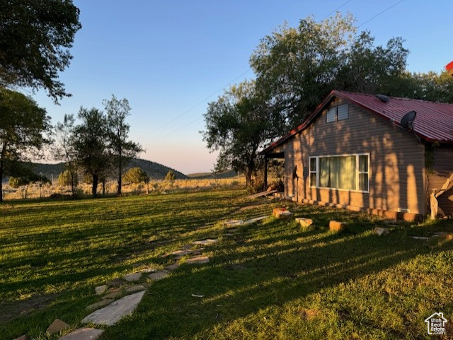 View of yard at dusk