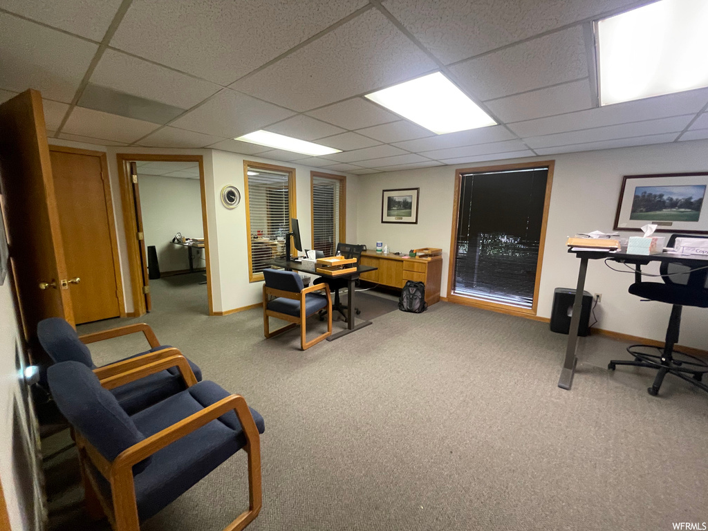 Carpeted office featuring a drop ceiling
