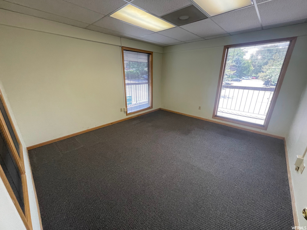 Empty room featuring a drop ceiling, a wealth of natural light, and carpet flooring