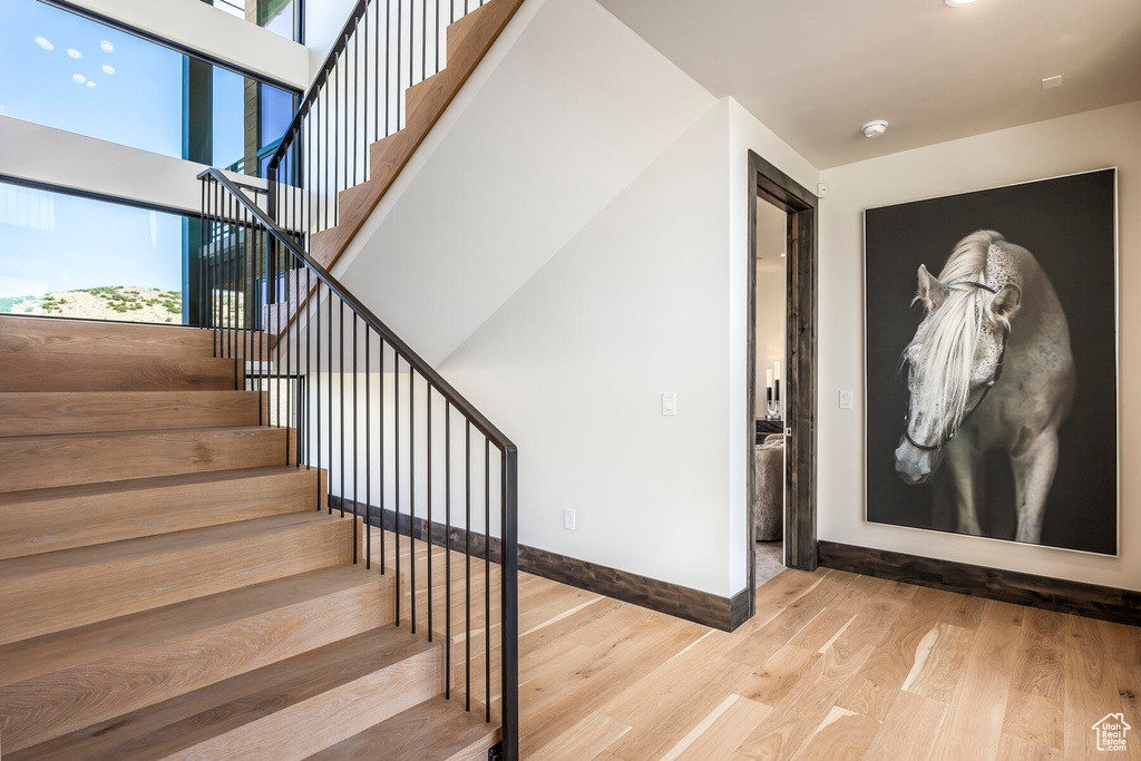 Foyer featuring a wealth of natural light and light wood-type flooring