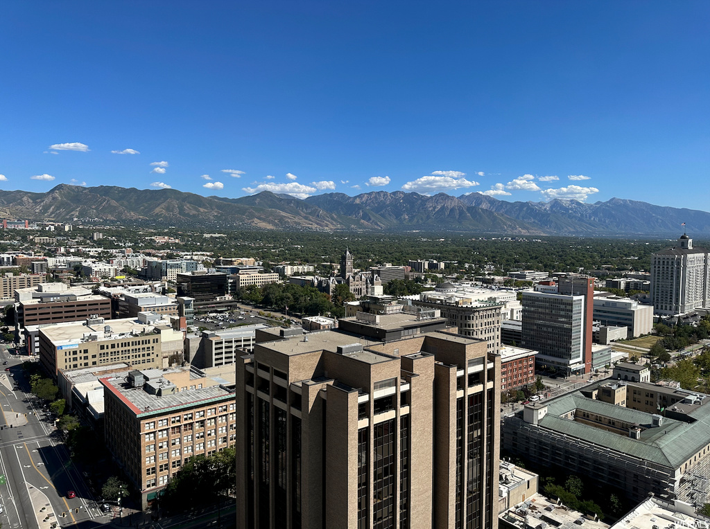 City view with a mountain view
