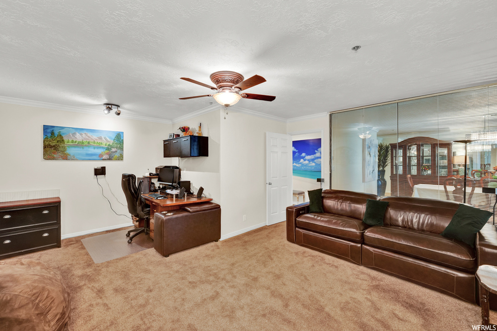 Interior space featuring light carpet, ceiling fan, ornamental molding, and a textured ceiling