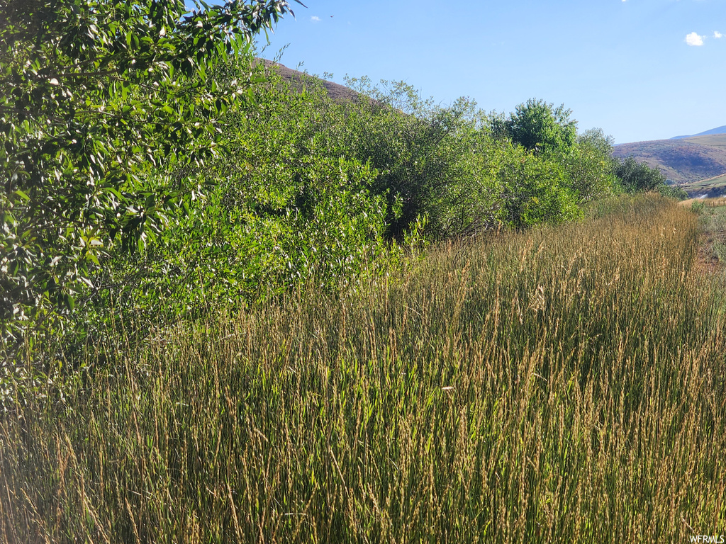 View of nature featuring a mountain view