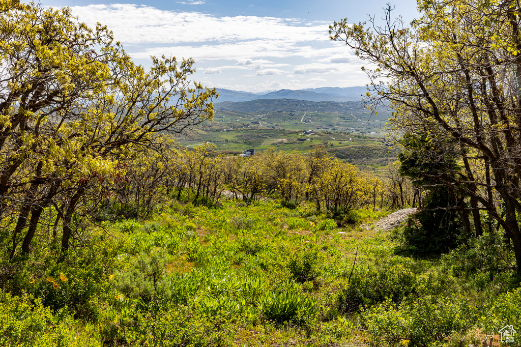 View of mountain backdrop
