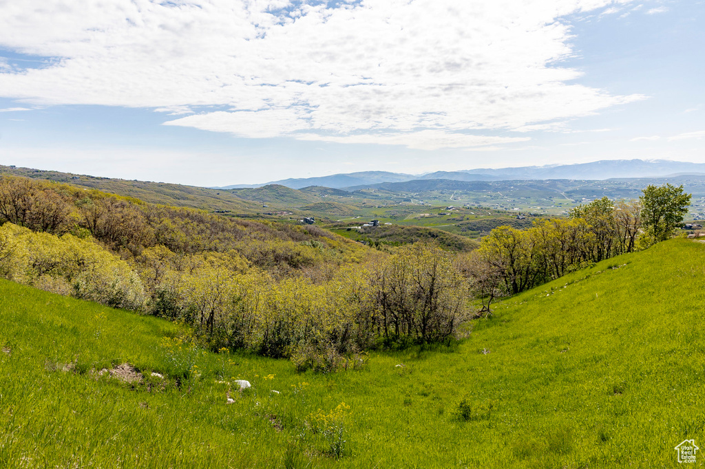 Mountain view