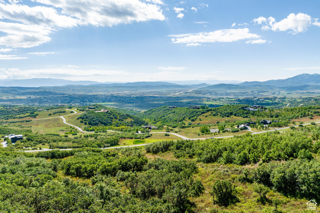 Mountain view