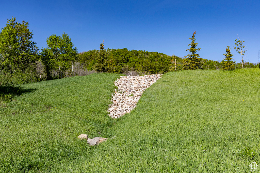 View of green lawn