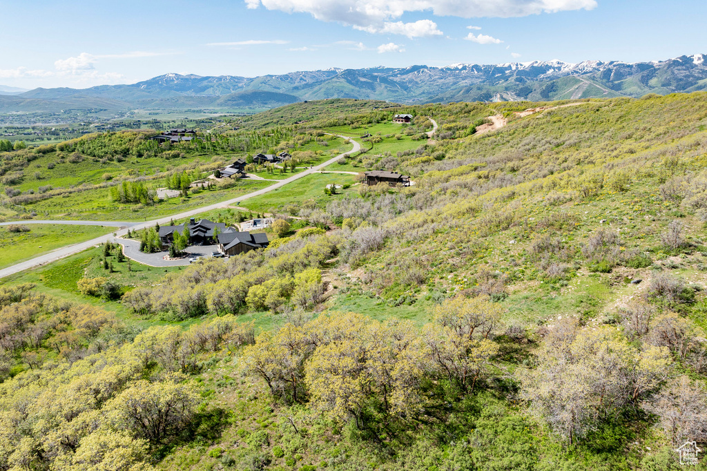 Drone / aerial view of a mountainous background