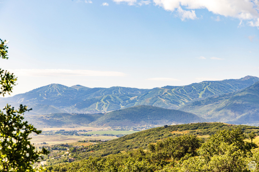 Mountain view