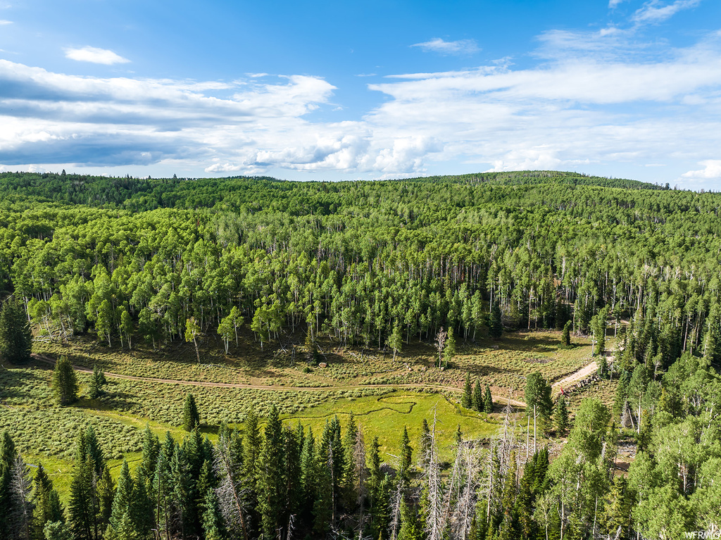 View of mountain view