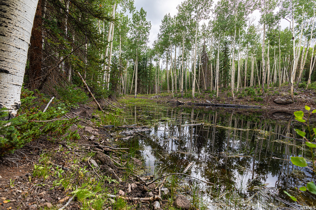 View of local wilderness featuring a water view