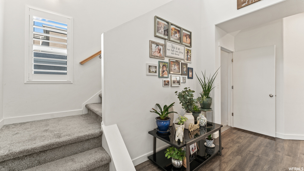 Staircase with light hardwood flooring