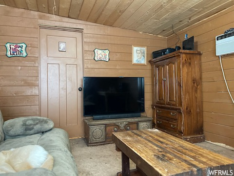 Living room with wooden walls and wooden ceiling