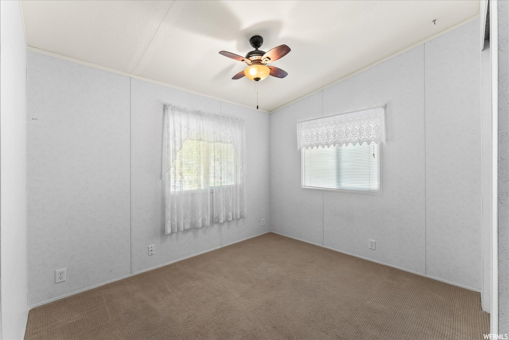 Carpeted empty room with a wealth of natural light, lofted ceiling, and ceiling fan