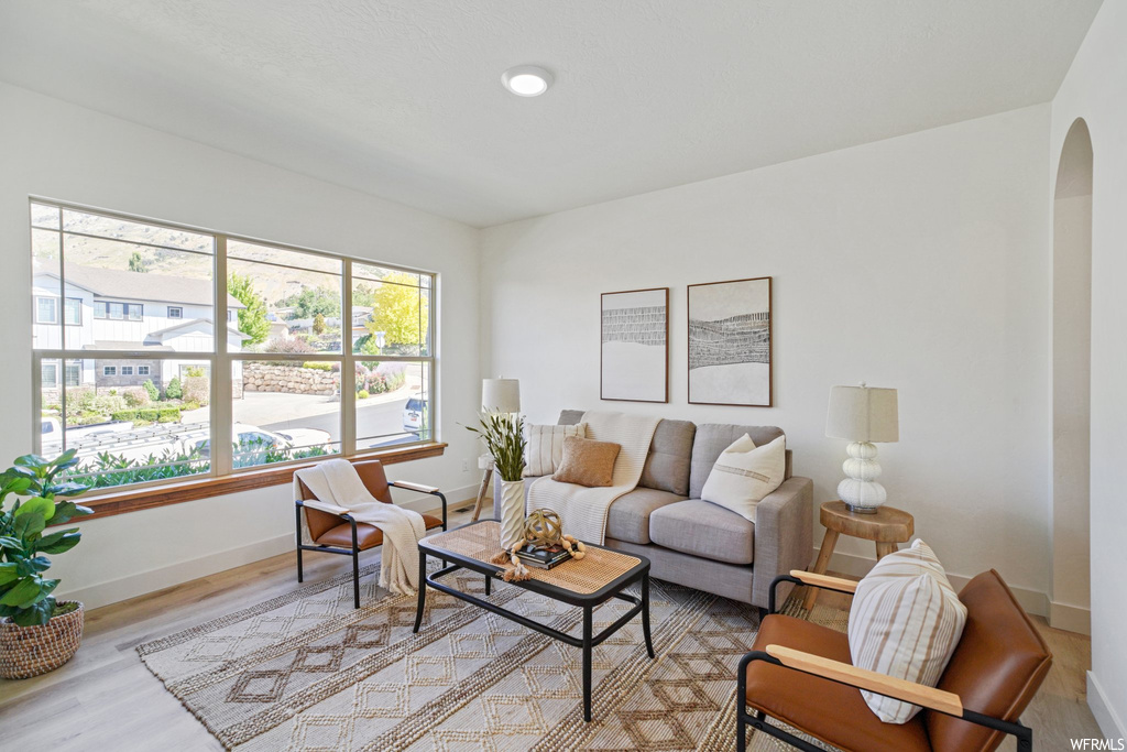 Living room featuring light hardwood floors