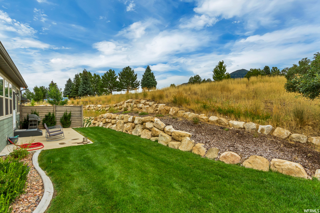 View of yard with a patio