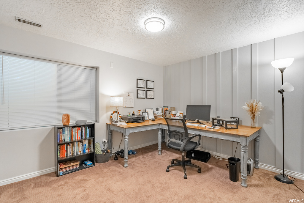 Office area with light carpet and a textured ceiling
