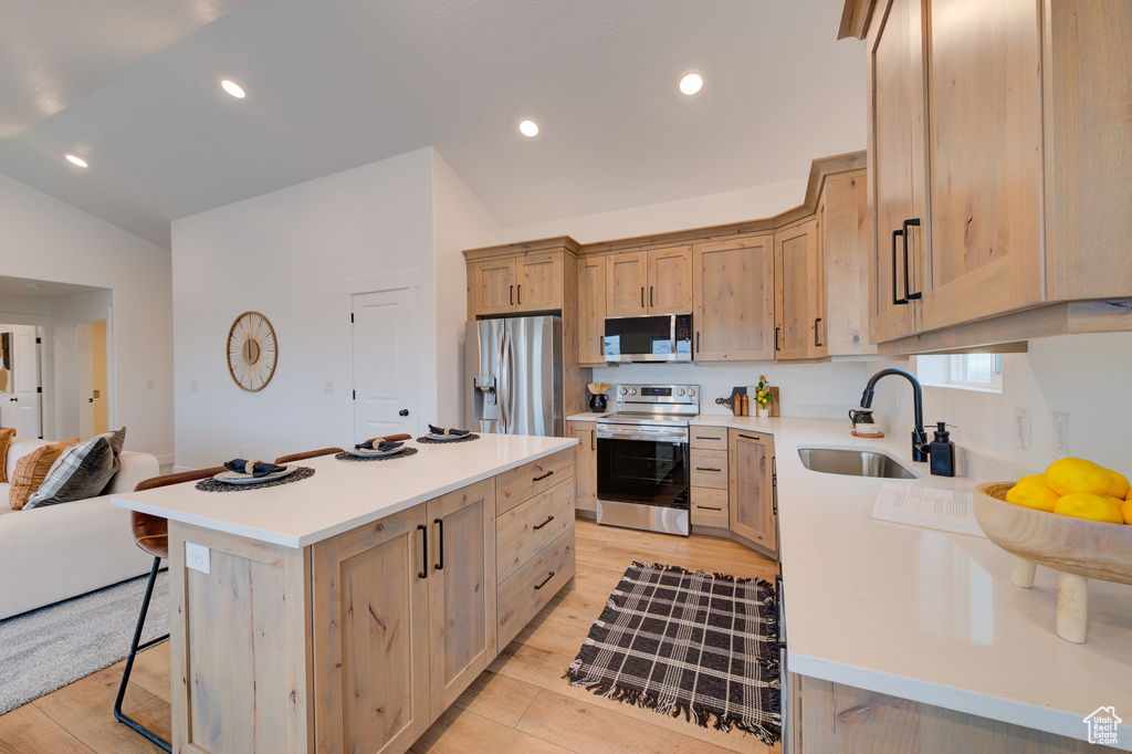 Kitchen featuring sink, stainless steel appliances, a center island, and light hardwood / wood-style flooring