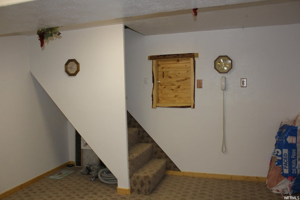 Stairway with light carpet