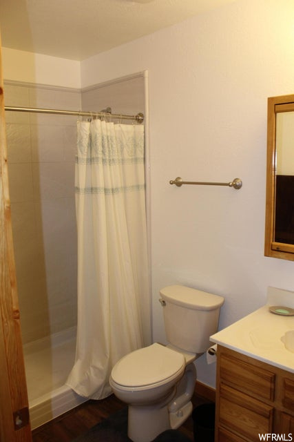 Bathroom with vanity, wood-type flooring, a shower with curtain, and mirror