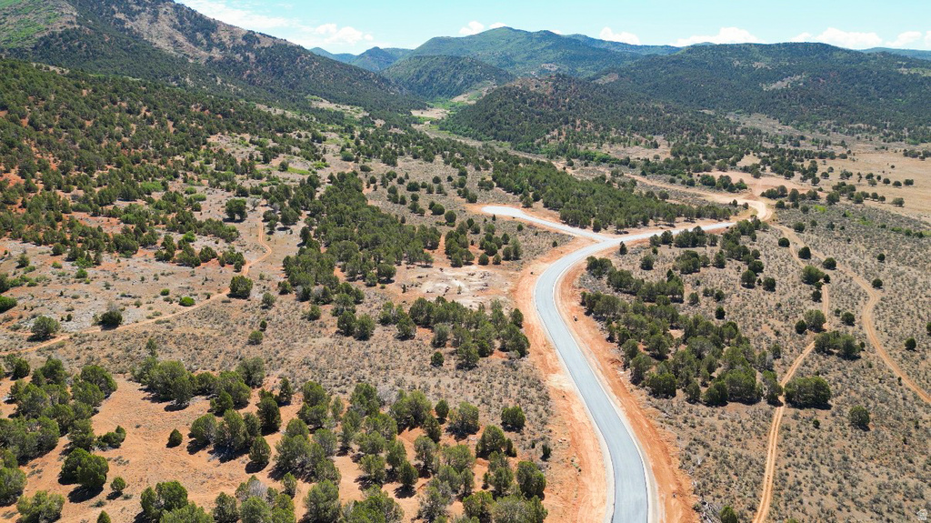 Paved road winding through a landscape of mature evergreen trees and arid vegetation