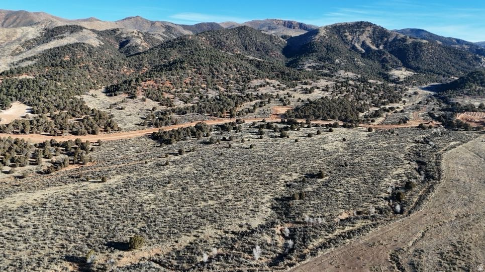 5179 E COUGAR RUN RD Birdseye, UT 84629