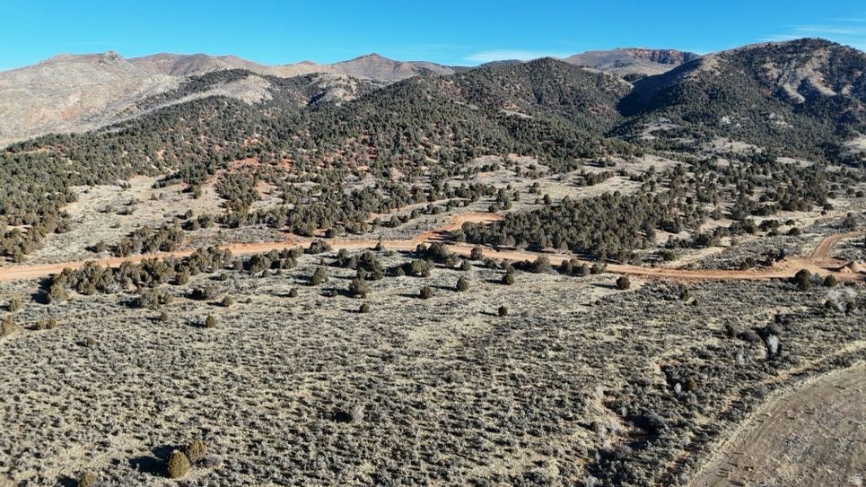 5179 E COUGAR RUN RD Birdseye, UT 84629